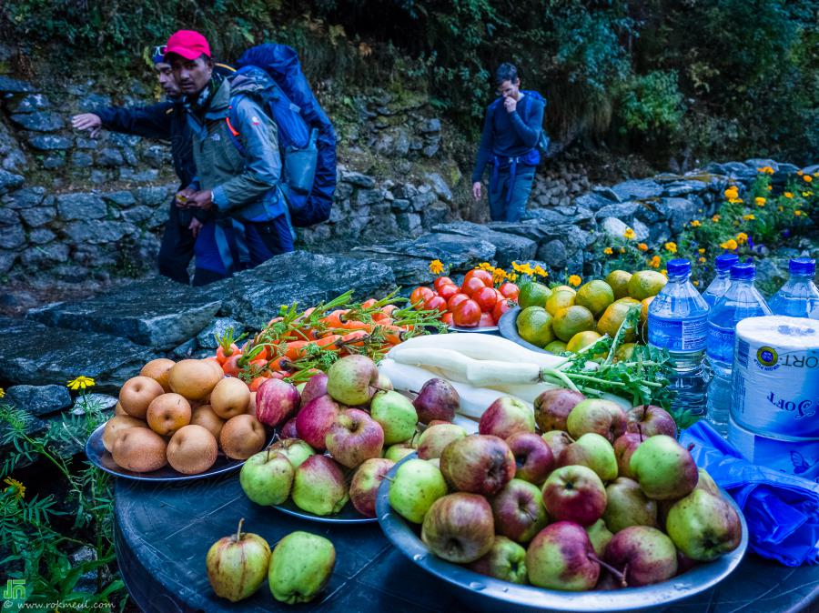 Apples, Pear (Poire), carrot, and Turnip (Navet) that villagers put on the small table in front of their house for sale